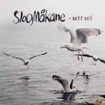 Sett seil by Slogmåkane