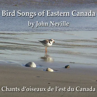 Bird Songs of Eastern Canada by John Neville