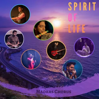 Spirit of Life by Mithun Hariharan