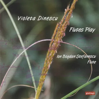 Violeta Dinescu: Flutes Play by Violeta Dinescu