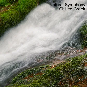 Chilled Creek by Natural Symphony