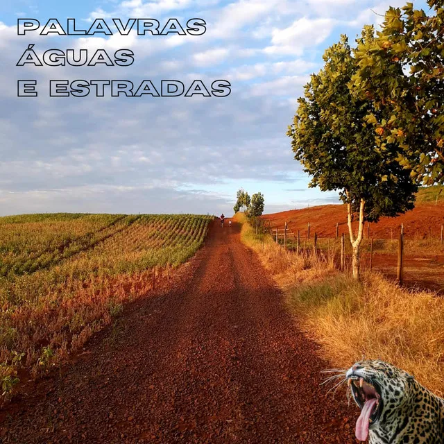 Palavras, Águas e Estradas