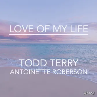 Love of My Life by Antoinette Roberson