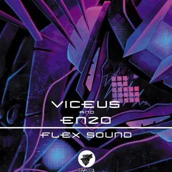 Flex Sound by Unknown Artist