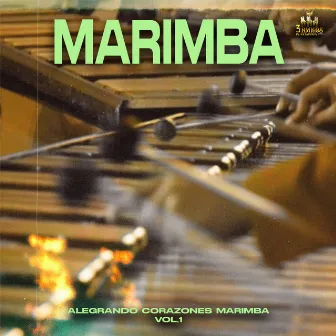 Alegrando Corazones Marimba Vol. 1 by Marimba