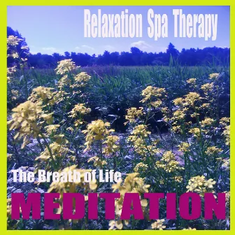 Meditation by The Breath of Life