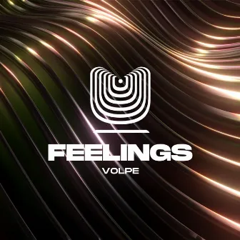 Feelings by Volpe