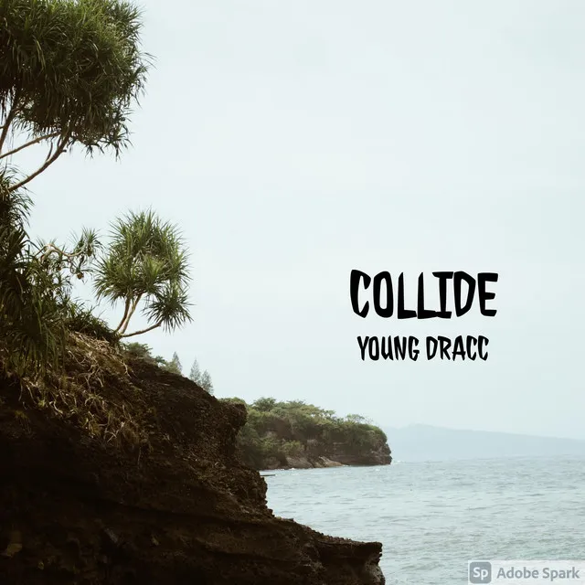 COLLIDE