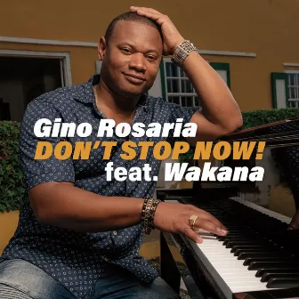 Don't Stop Now! (feat. Wakana) by Gino Rosaria