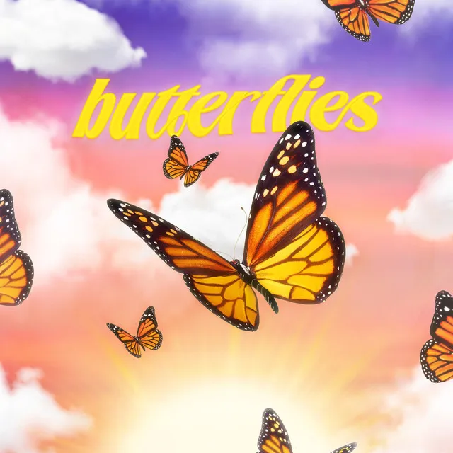 butterflies