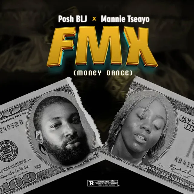 F.M.X (moneydance)