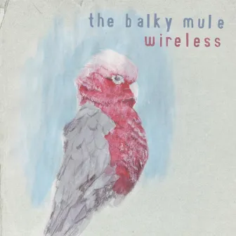 Wireless by The Balky Mule