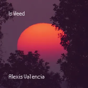 Is Weed by Alexis Valencia