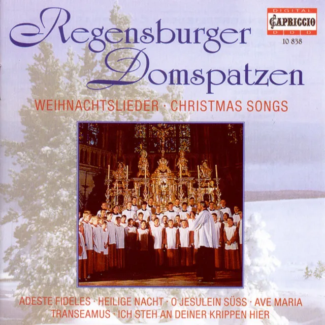 Christmas Oratorio, BWV 248: Wie soll ich Dich empfangen