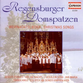 Christmas Choral Concert: Regensburg Cathedral Choir - Lutzel, J.H. / Pachelbel, J. / Handl, J. / Rheinberger, J.G. / Brahms, J. / Britten, B. by Roland Buechner