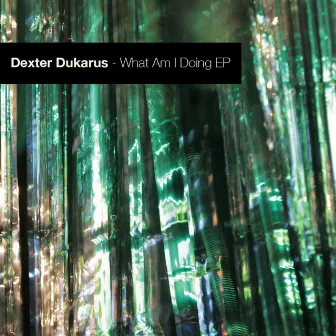 What Am I Doing EP by Dexter Dukarus