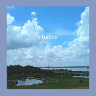 Settle In by Intuitive