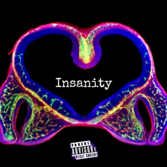 Insanity by Derson