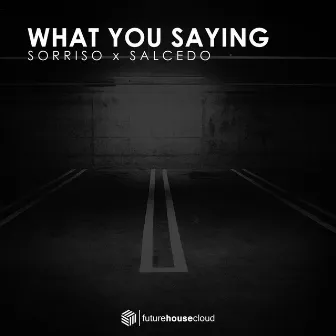 What You Saying by Salcedo