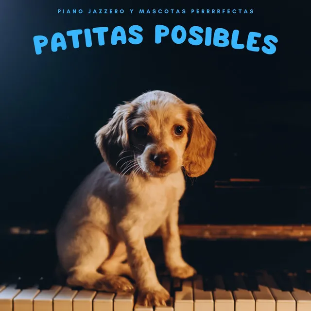 Patitas Posibles: Piano Jazzero Y Mascotas Perrrrfectas