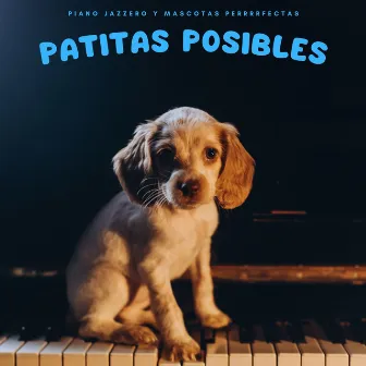 Patitas Posibles: Piano Jazzero Y Mascotas Perrrrfectas by Jazz matutino de fin de semana