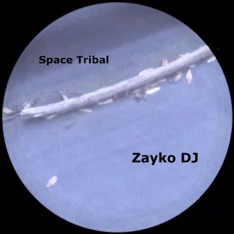 Space Tribal by Zayko DJ