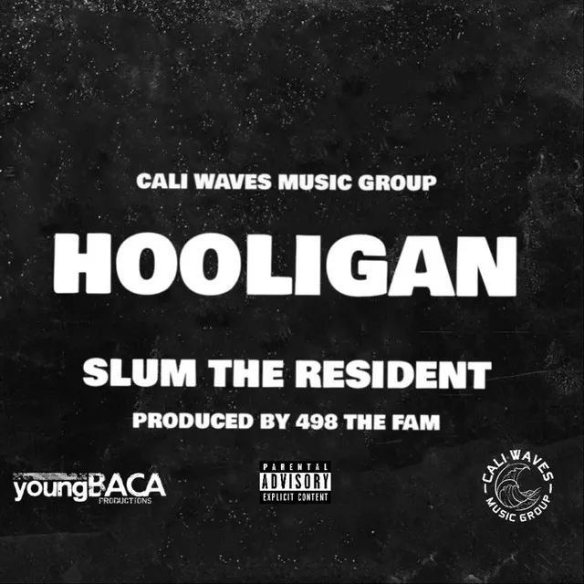 Hooligan