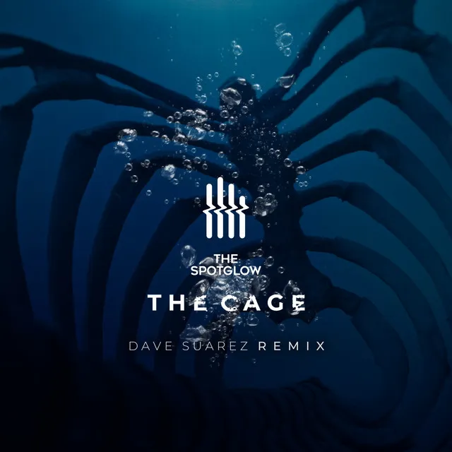 The Cage (Dave Suarez Extended Remix)