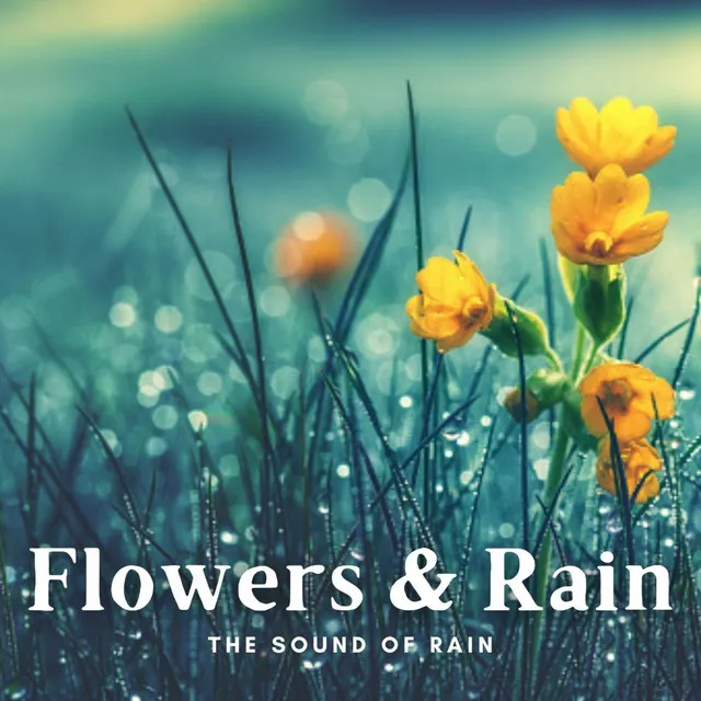 The Sound of Rain: Flowers & Rain