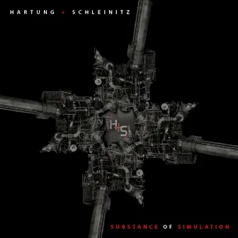 Substance of Simulation by Hartung + Schleinitz