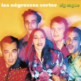 Zig-Zague by Les Négresses Vertes