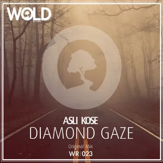 Diamond Gaze by Asli Kose