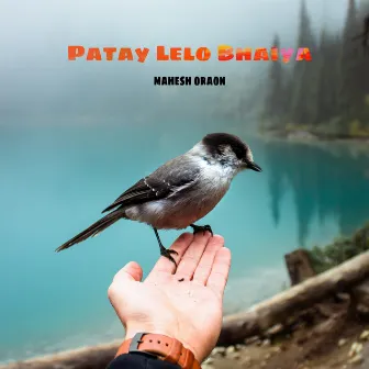 Patay Lelo Bhaiya by Mahesh Oraon