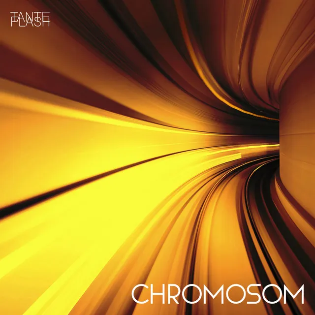 Chromosom