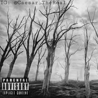 Dead Trees by Caesar