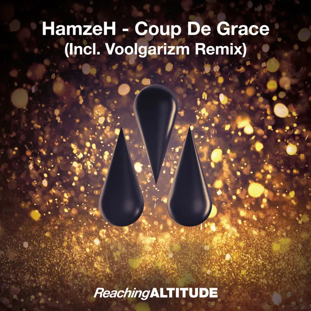 Coup De Grace - Voolgarizm Radio Edit