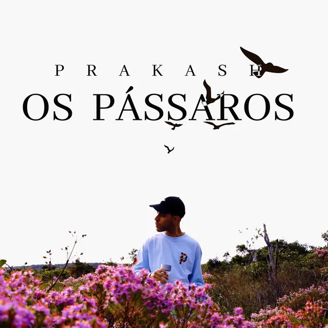 Os Pássaros