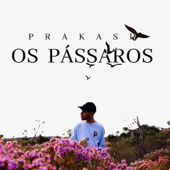 Os Pássaros by Og Prakash