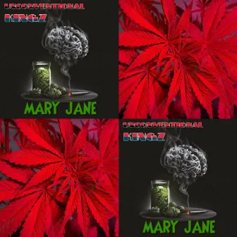 WADSAN AND MARY JANE by unConventionAl KingZ