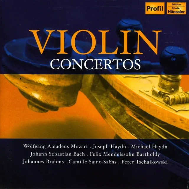 Violin Concerto in B-Flat Major, P. 53: II. Adagio