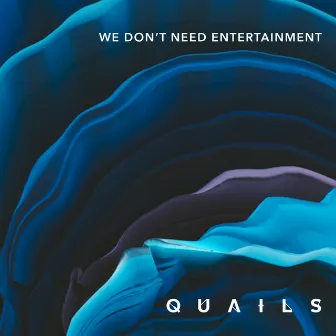 We Don't Need Entertainment by Quails