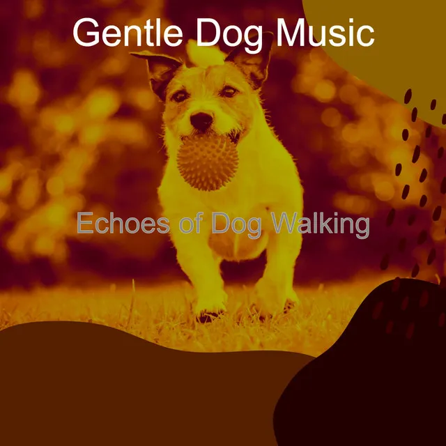 Echoes of Dog Walking