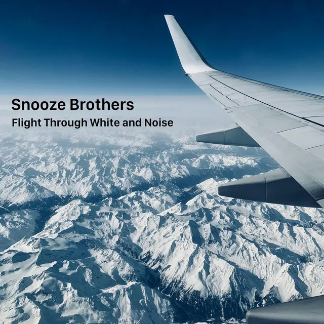 Flight Through White and Noise