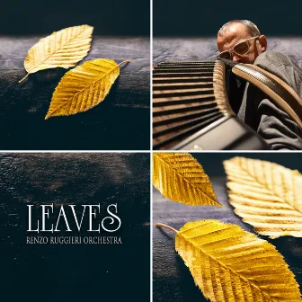 Leaves by Renzo Ruggieri