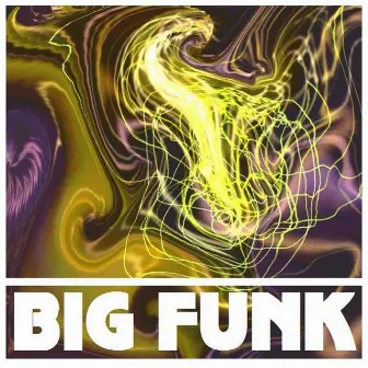 Big Funk by Andy Smith