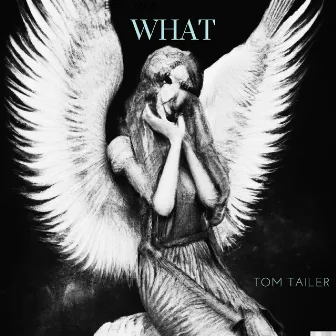 WHAT by Tom Tailer