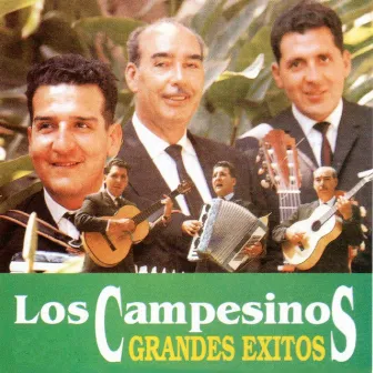 Grandes Exitos by Los Campesinos