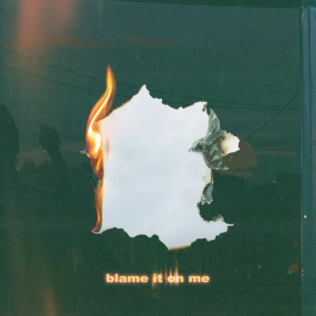 Blame It On Me