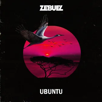 Ubuntu by Zebuel