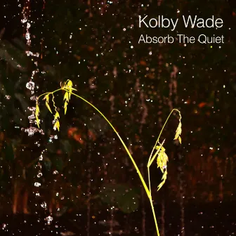 Absorb the Quiet by Kolby Wade